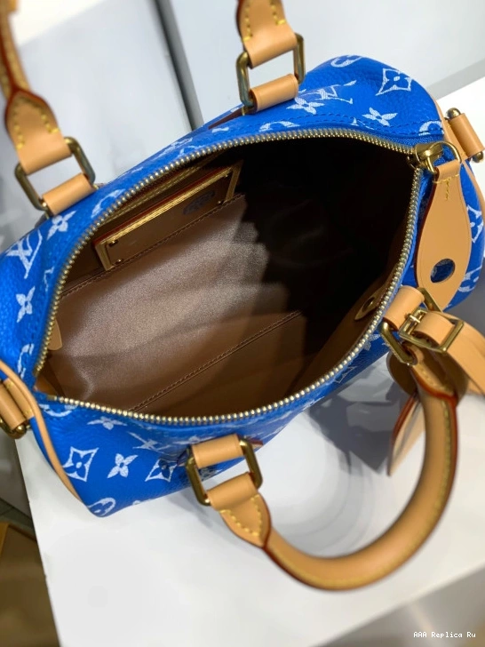AAA Pruses Bags Louis SPEEDY Vuitton 25 0711